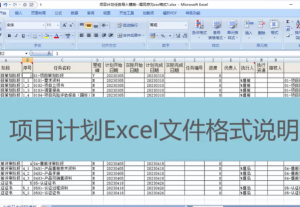 Gungho項目計劃編制（通過excel導入）